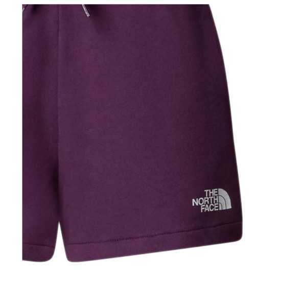 The North Face Γυναικείο σορτς Logowear Shorts